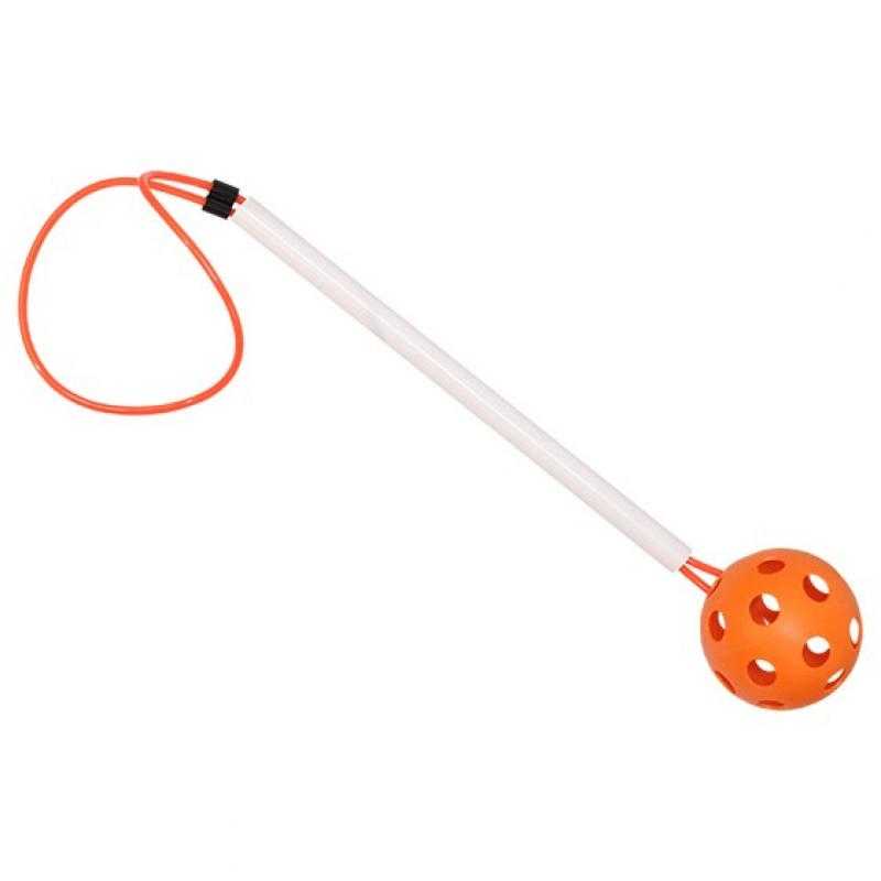 Pelota con mango
