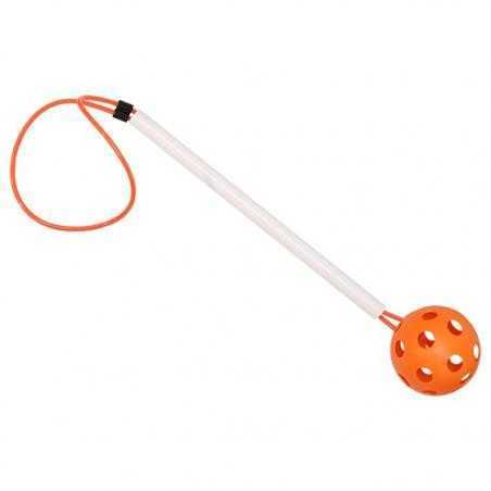 Pelota con mango