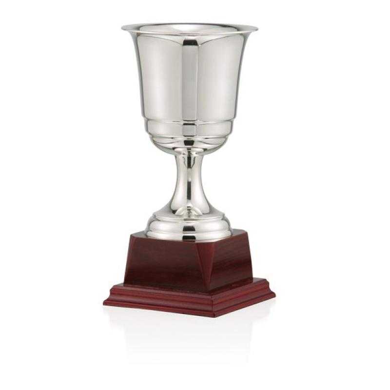 Copa baño de plata
