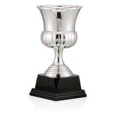 Copa baño de plata