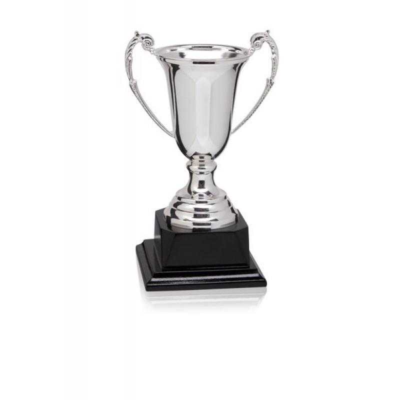 Copa baño de plata