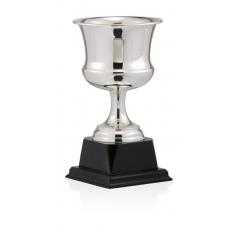 Copa baño de plata