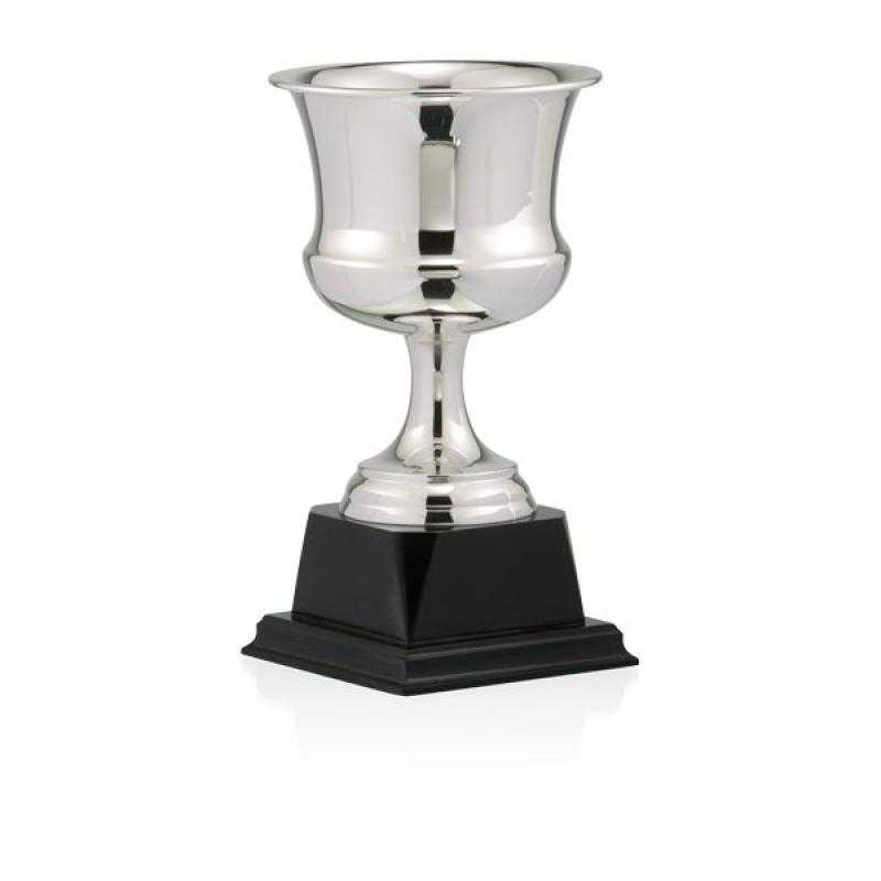 Copa baño de plata