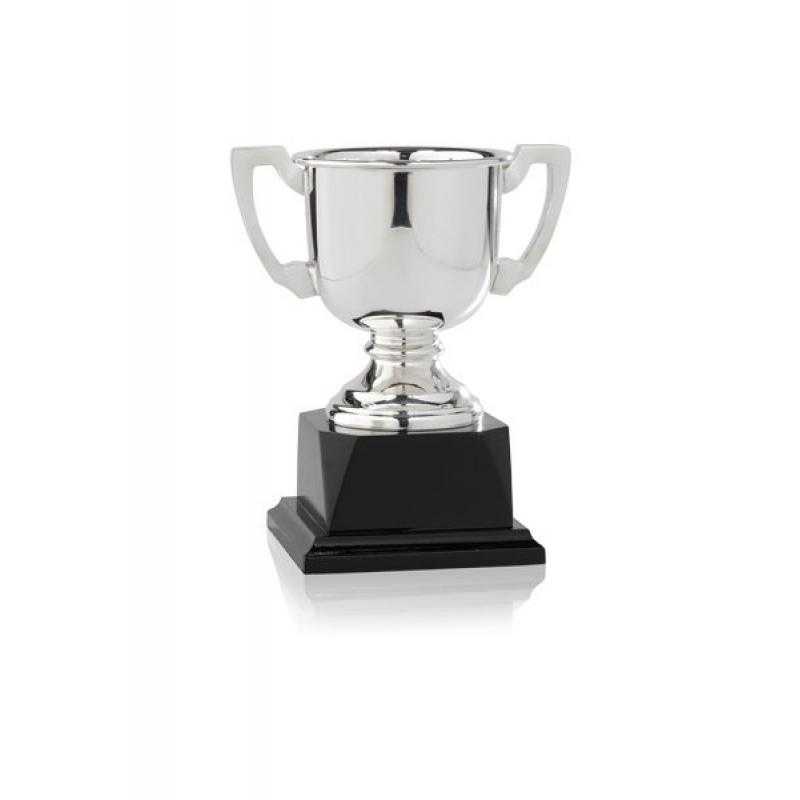 Copa baño de plata