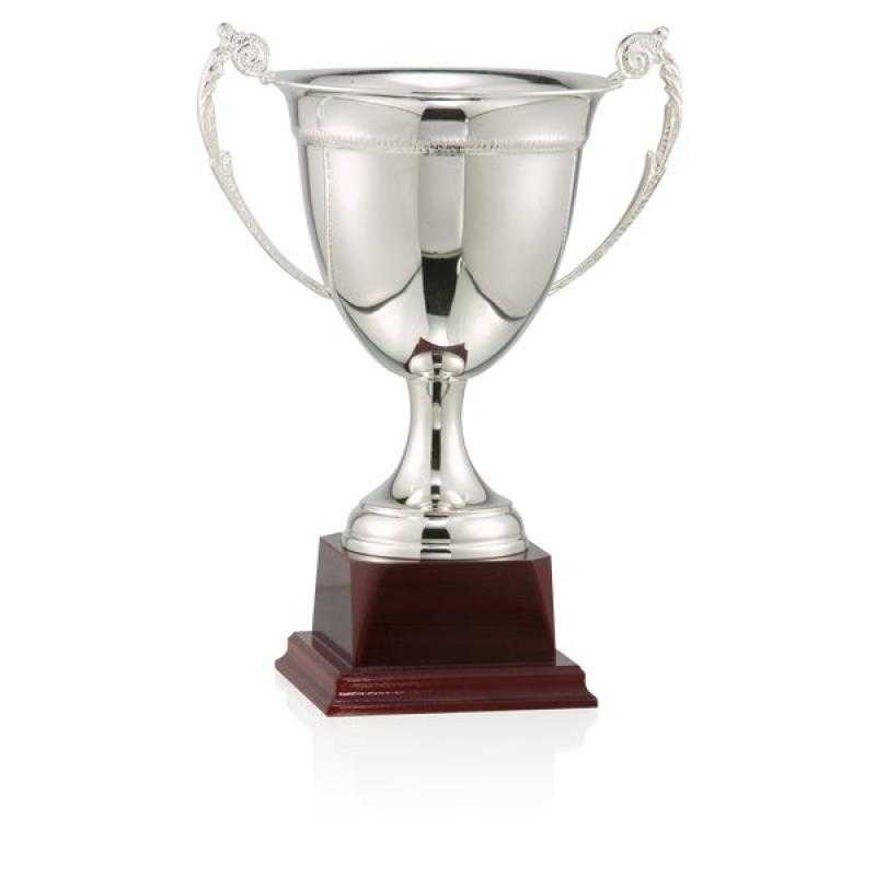 Copa baño de plata