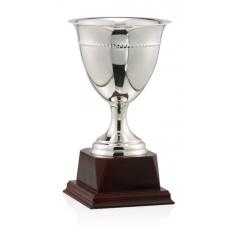 Copa baño de plata