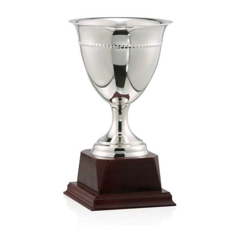 Copa baño de plata