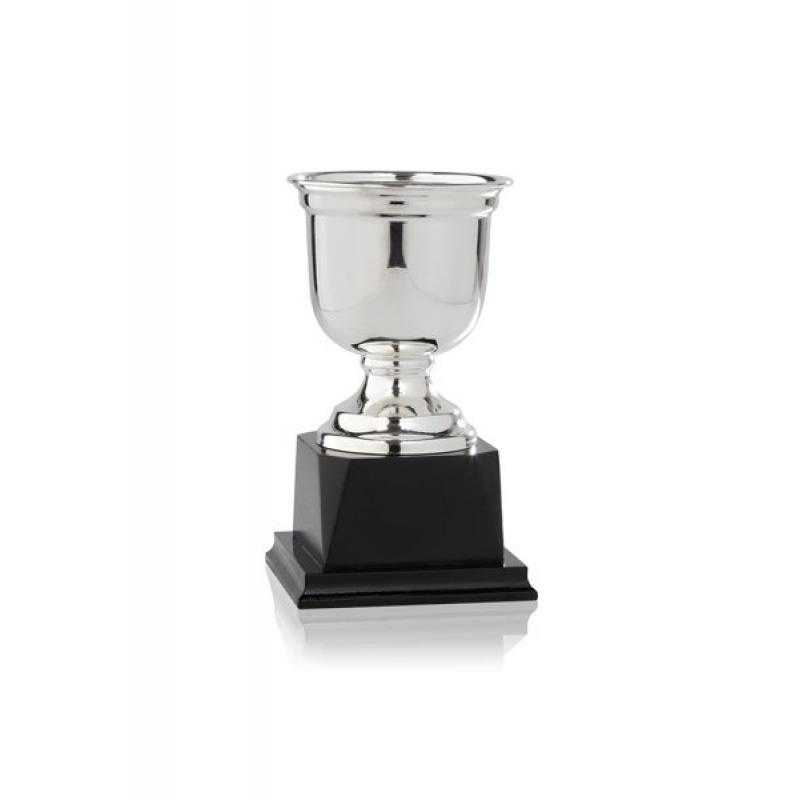Copa baño de plata