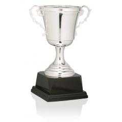 Copa baño de plata