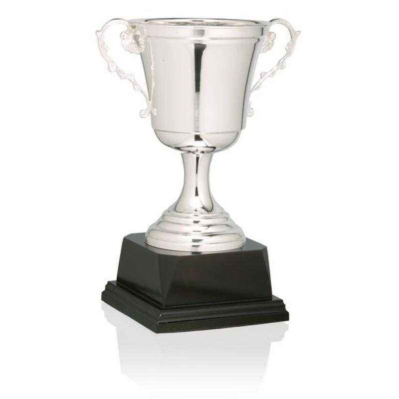 Copa baño de plata