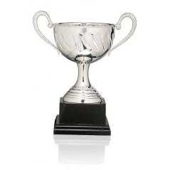 Copa baño de plata