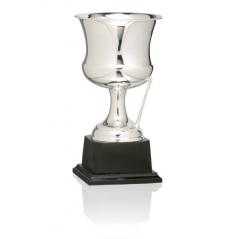 Copa baño de plata