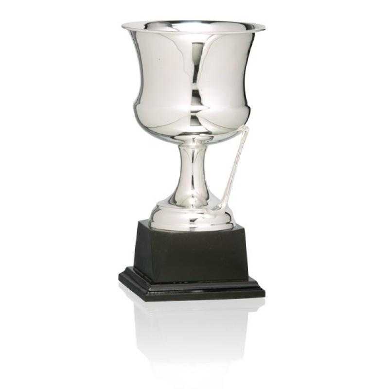 Copa baño de plata