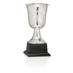 Copa baño de plata
