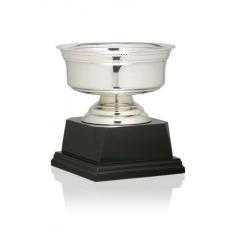 Copa baño de plata