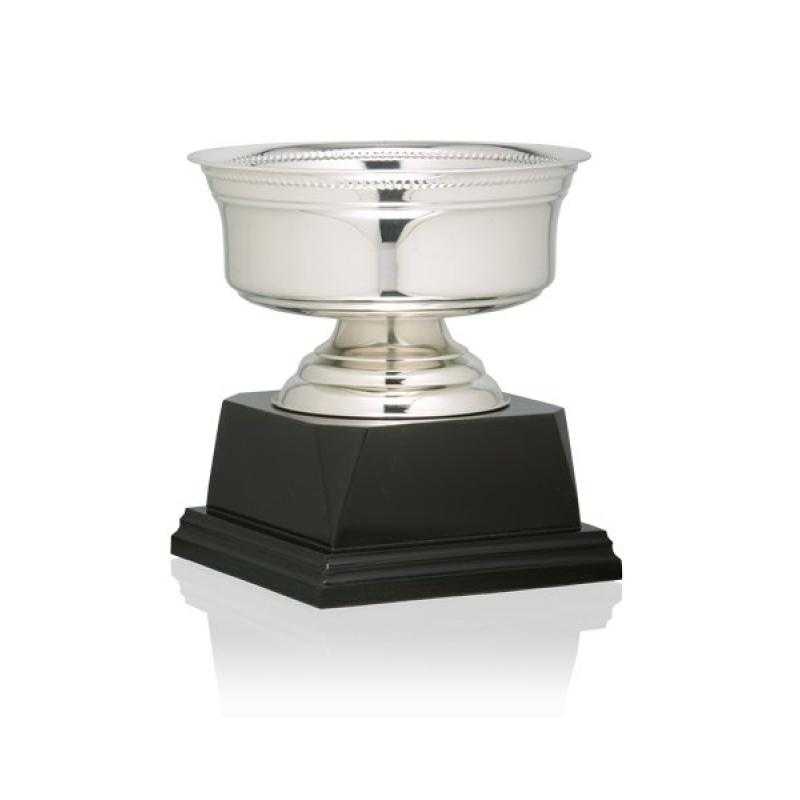 Copa baño de plata