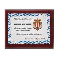 Placa + madera economica
