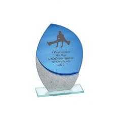 Trofeo cristal