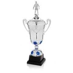 Copa especial futbol