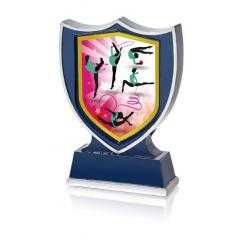 Resina gimnasia