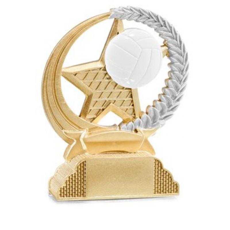 Resina volley ball