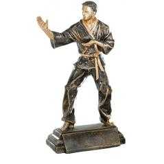 Resina karate