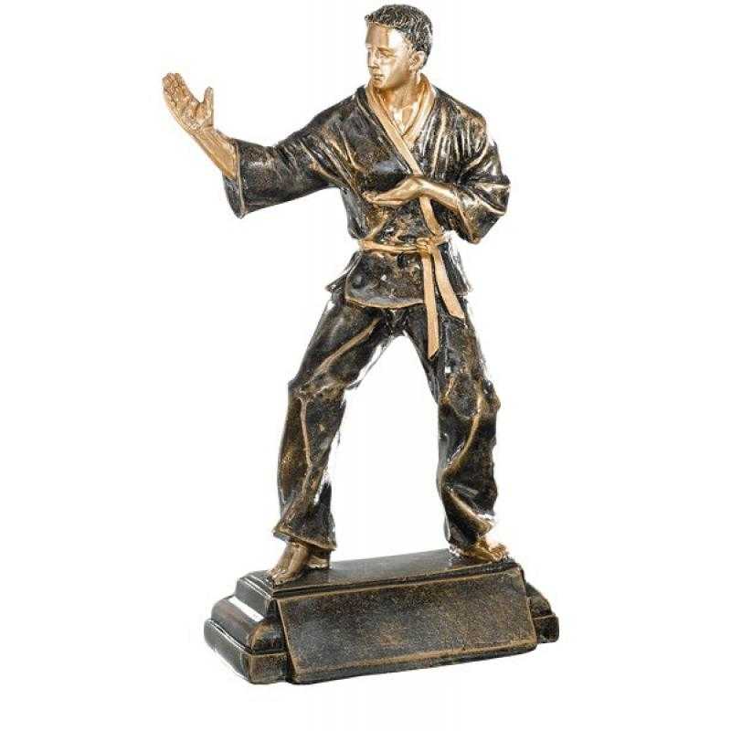 Resina karate