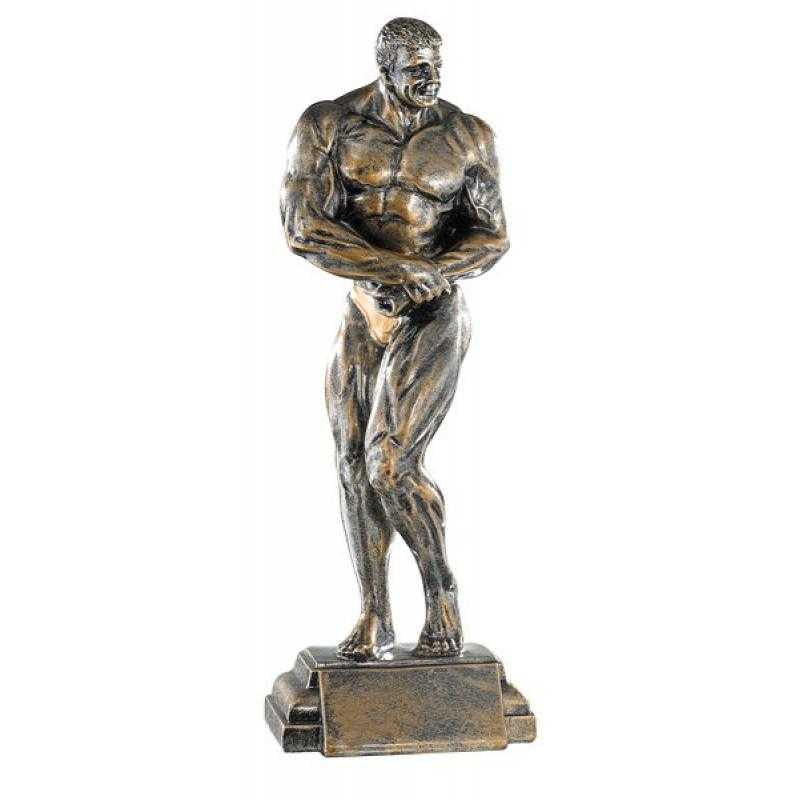 Resina culturismo masculino