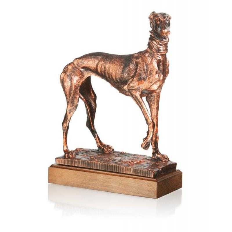 Resina galgo