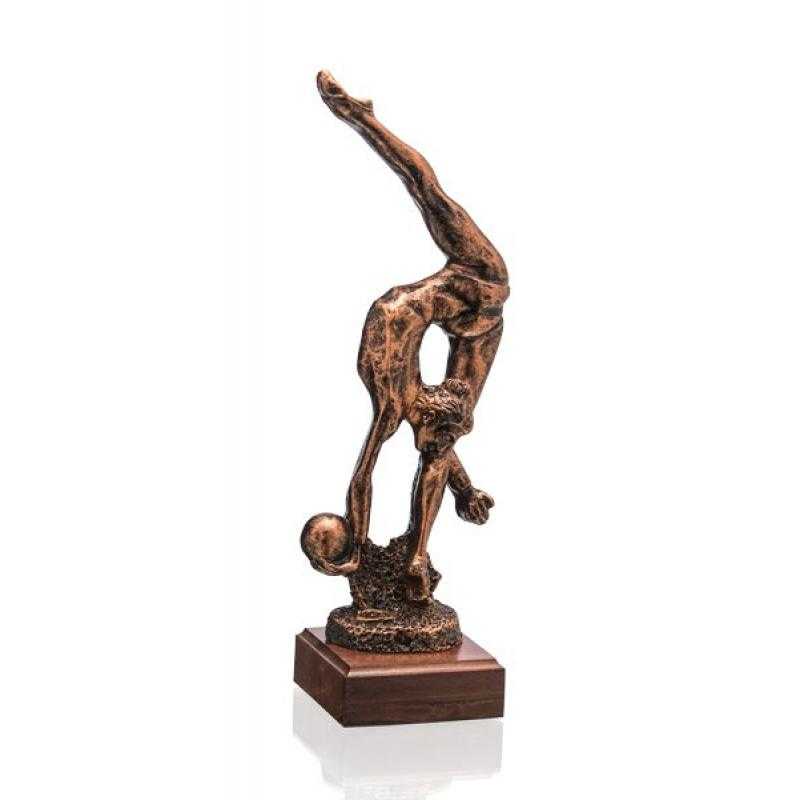 Resina gimnasia