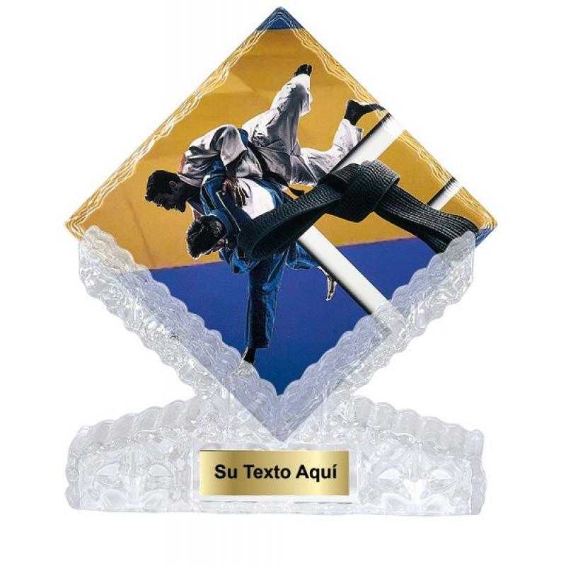 Trofeo ceramica judo
