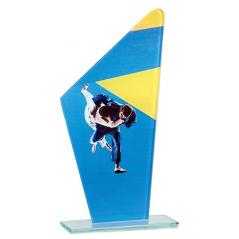 Trofeo cristal karate