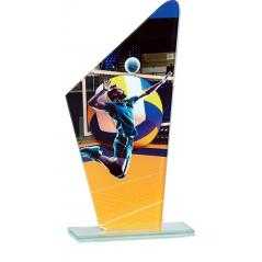 Trofeo cristal boley boll