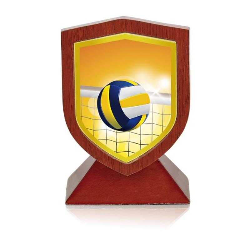 Trofeo madera boleiboll