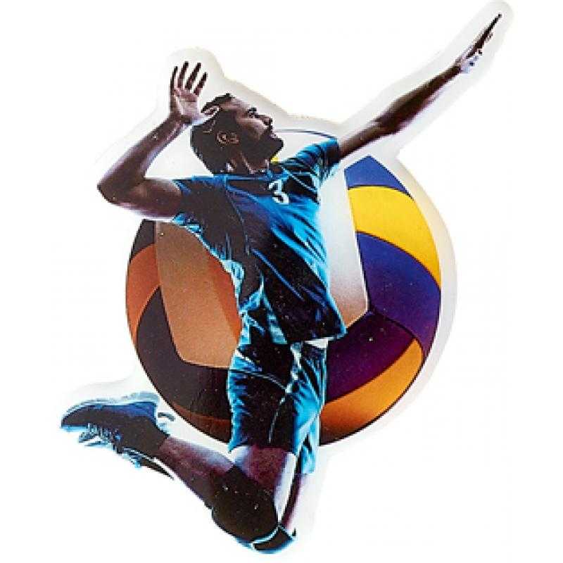 Aplique epoxy volleyball