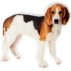 Aplique epoxy perro