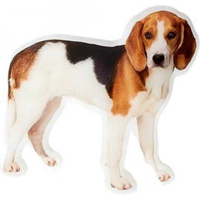 Aplique epoxy perro