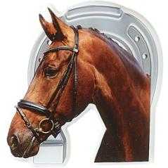 Aplique epoxy cabella caballo
