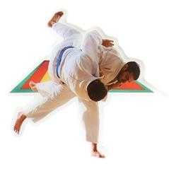 Aplique epoxy judo