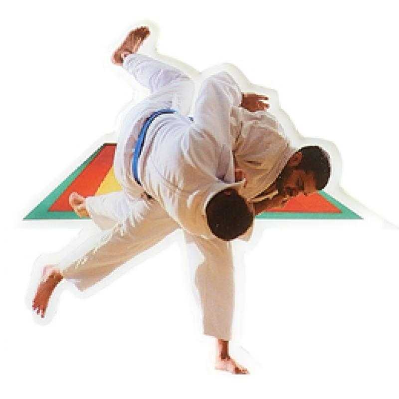Aplique epoxy judo