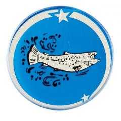 Disco cristal pesca