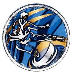 Disco cristal karate