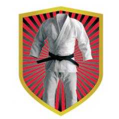 Aplique aluminio karate