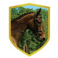 Aplique aluminio caballo