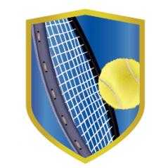 Aplique aluminio tenis