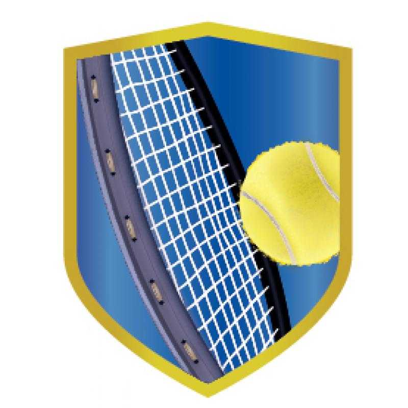 Aplique aluminio tenis