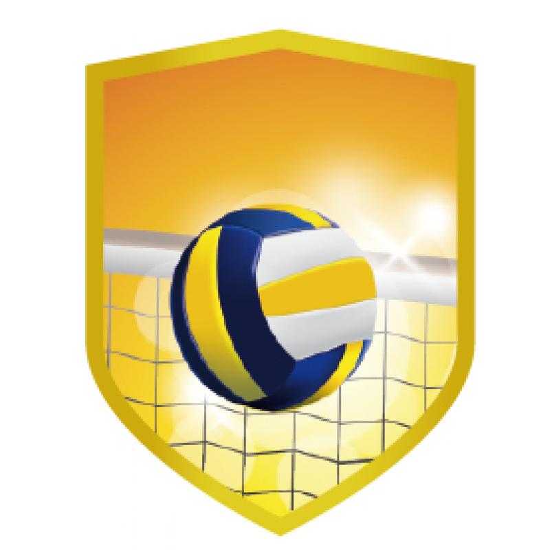 Aplique aluminio voleibol