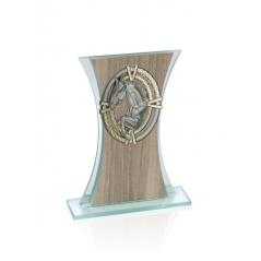 Trofeo de cristal para aplique ng