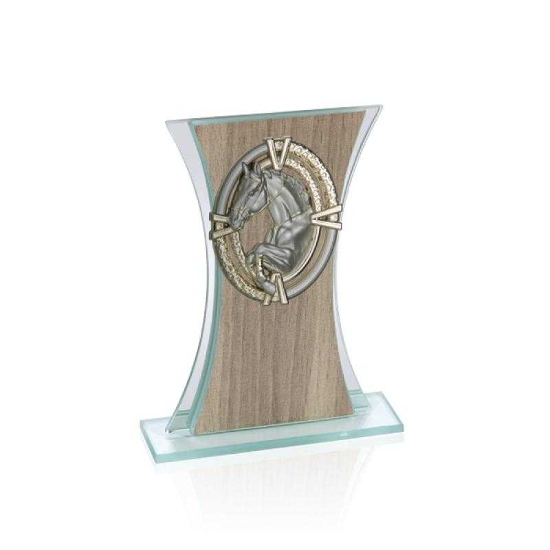 Trofeo de cristal para aplique ng