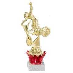 Trofeo porta d